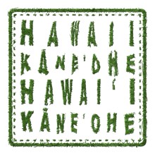 Hawaii Kaneohe Sustainable Tourism Concept