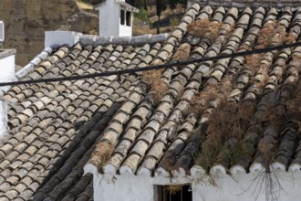 On the road to the white villages. Beautiful roofs of the historic old town in Setenil de las