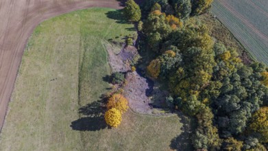 On a clear day, colorful trees stand on the edge of an extinct volcano. The autumn colors bring