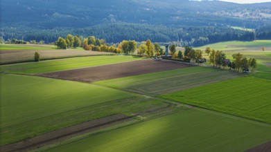 The picture shows a quiet landscape with green fields, colorful trees and a small observation tower