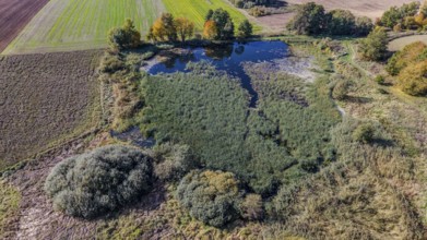 In a rural area, there is a green area with calm water. The trees change colors and show autumn