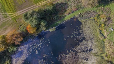 The pond is located in a rural area, surrounded by colorful foliage and green meadows. The sunlight