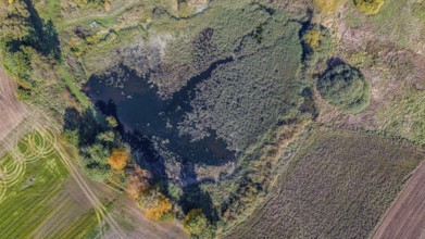 A quiet pond is nestled in the countryside, surrounded by colorful trees and fields. The colors of