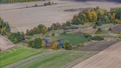 An extensive landscape shows glowing trees next to a small pond in autumn. Fields and meadows