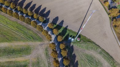 An antenna mast can be seen in a field in the middle of an autumn environment. The trees along the