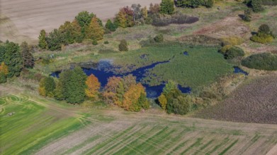 When the weather is clear, the picture shows an autumn landscape with a quiet pond. Colourful