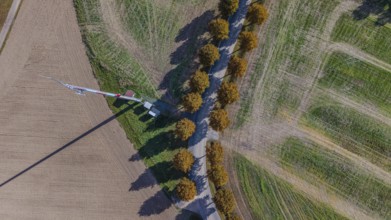 A hiking trail runs next to a field, lined with trees, while an antenna pole stands in the