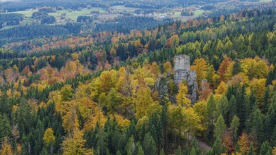 The ruins of Weissenstein Castle are at the center of a beautiful autumn landscape. The trees are