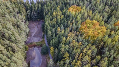 In the forest, the trees are colored in various autumn colors. Small bodies of water are visible,