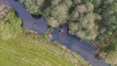 A quiet river snakes through a green landscape. Trees and shrubs grow on the shore, while sunlight