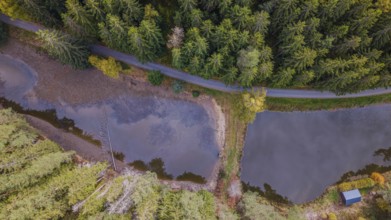 The picture shows two ponds that are surrounded by a forest. A narrow path runs along the ponds,