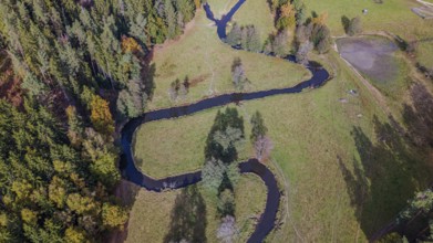 A clear river snakes through a green meadow, surrounded by colorful autumn trees. The picture shows