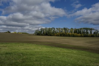 A vast landscape of sown fields stretches out under a partly cloudy sky. Trees in colorful autumn