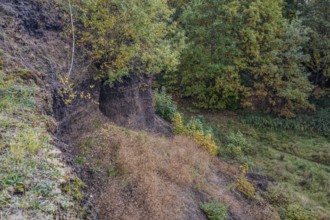 On a clear autumn day, the slope of an extinct volcano is covered with colorful trees and dry grass