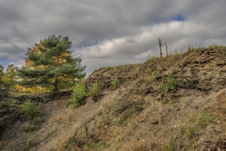 The rocky landscape of the extinct volcano shows a slope with green plants and a tree. The sky is