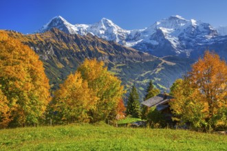 Autumn landscape in the hamlet of Sulwald with Eiger 3967m, Mönch 4110m and Jungfrau 4158m,