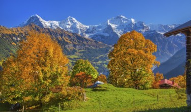 Autumn landscape in the hamlet of Sulwald with views of Eiger 3967m, Mönch 4110m and Jungfrau