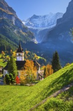 Village church in the town center with fieschörner 4049m in autumn, Grindelwald, Lütschinental,