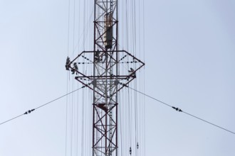 Men painting the highest Czech construction radio transmitter tower Liblice Czech republic
