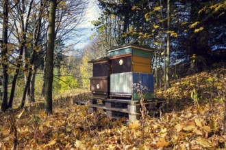 Colorful wooden beehives in beatiful autumn nature, sunny day Prague Czech republic