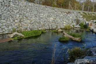 A calm stream with clear water flows through an area lined with stones. Green plants and pieces of