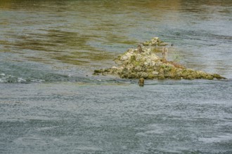 A small island of rocks juts out of the water. It is covered with grass and plants. The river flows