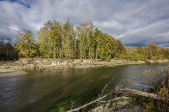 The restored Isar flows through a picturesque landscape in autumn. The trees along the shore show