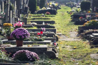 Beautiful flower bunch on graves, autumn on cemetery, Prague, Czech Republic, sunny day, All souls