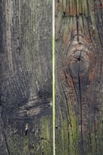 Colorful filtered old knotty wood texture background with hole Prague, Czech republic