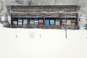Vintage colorful wooden beehives on snowy winter freezing day Prague Czech republic