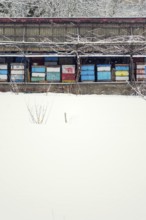 Vintage colorful wooden beehives on snowy winter freezing day Prague Czech republic
