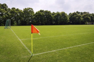 Orange vivid corner flag on fresh green football ground, trees in background, sunny summer day