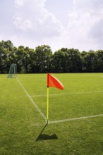 Orange vivid corner flag on fresh green football ground, trees in background, sunny summer day