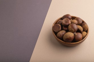 Wooden bowl with raw edible ?hestnuts on brown and gray paper pastel background, side view, copy