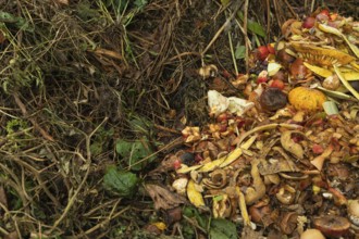 Compost pile made of organic food, leaves, vegetable and fruit Waste mix, Zero waste and Eco