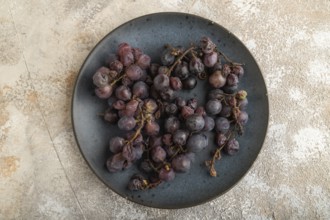 Bunches of rotten and Dry Red wine grapes on blue plate on brown concrete background, harvest,