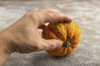 Orange Pumpkin with hand on gray concrete background. Side view, healthy food, vegetable,