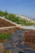 Extensive green ecological living sod roof with root zone waste water sewage treatment plant, sunny