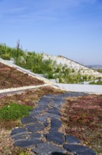 Root zone waste water sewage treatment plant on the extensive green ecological living sod roof