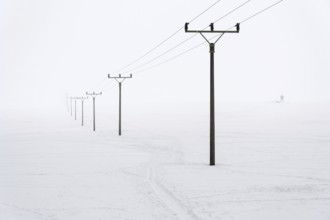 Electricity pylons from distribution power station in foggy winter freeze Prague Czech republic