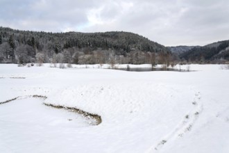 Snow on golf course in winter, forest background, copy space Karlovy Vary Czech republic