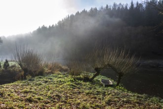 Boat under willow trees in foggy morning, shore of Luznice River, Czech Republic, peaceful