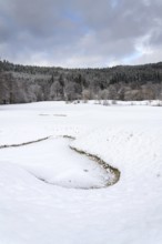 Snow on golf course in winter, forest background, copy space Karlovy Vary Czech republic