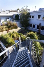 Green roof with root zone waste water treatment, exterior facade on modern building cooling with