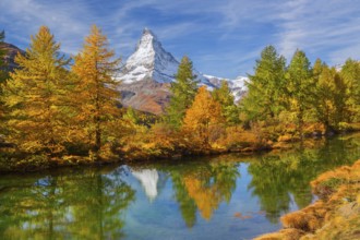 Matterhorn 4478 m with reflection in Lake Grindji in autumn, Zermatt, Mattertal, Valais,