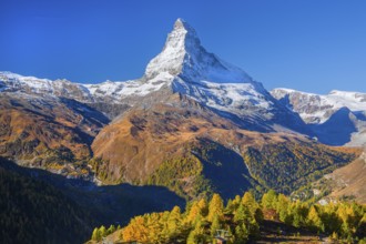 Sunegga view of the Matterhorn 4478 m in autumn, Zermatt, Mattertal, Valais, Switzerland