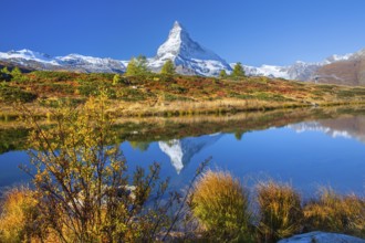 Matterhorn 4478 m with reflection in Leisee on the Sunnegga in autumn, Zermatt, Mattertal, Valais,
