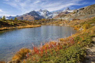 Leisee below the Sunnegga with Zinalrothorn 4221m in autumn, Zermatt, Mattertal, Valais,