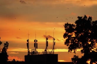 Radio masts, evening sky, autumn, Germany