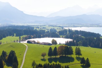 Hilly and wooded landscape with farm, Hegratsrieder See and mountains, near Füssen, Allgäu, Swabia,